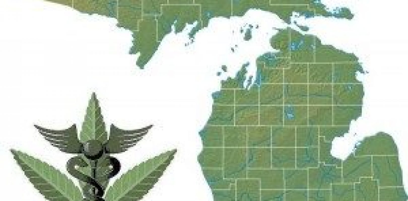 Steps In Opening A Marijuana Dispensary in Michigan Marijuana Tips